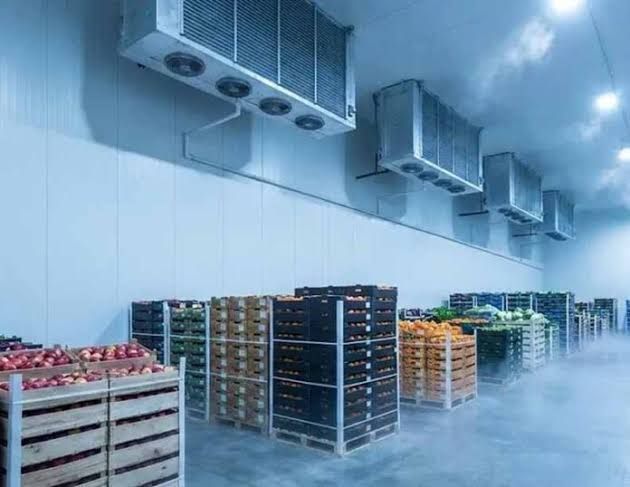 Guide to Cold Storage Facilities, Equipment and Storage Systems