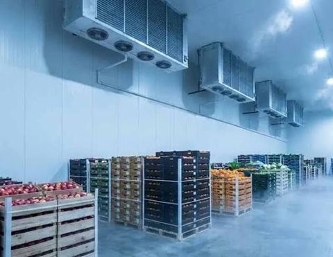 Guide to Cold Storage Facilities, Equipment and Storage Systems